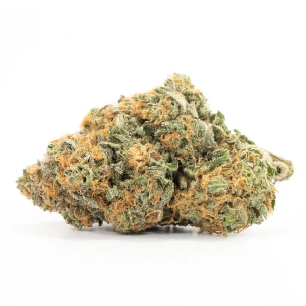 California Orange Strain California Orange Strain